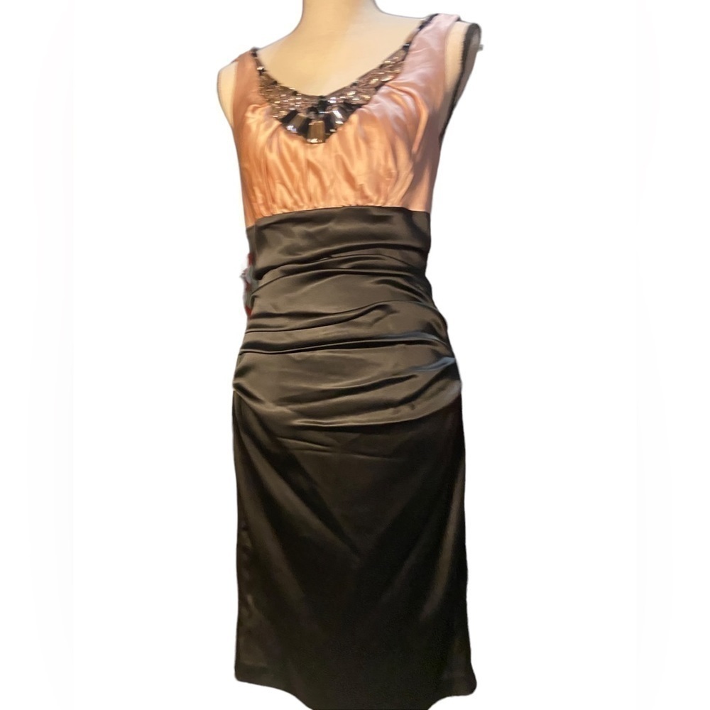 𝅺suzi Chin Dress Blush and Black with Jeweled collar